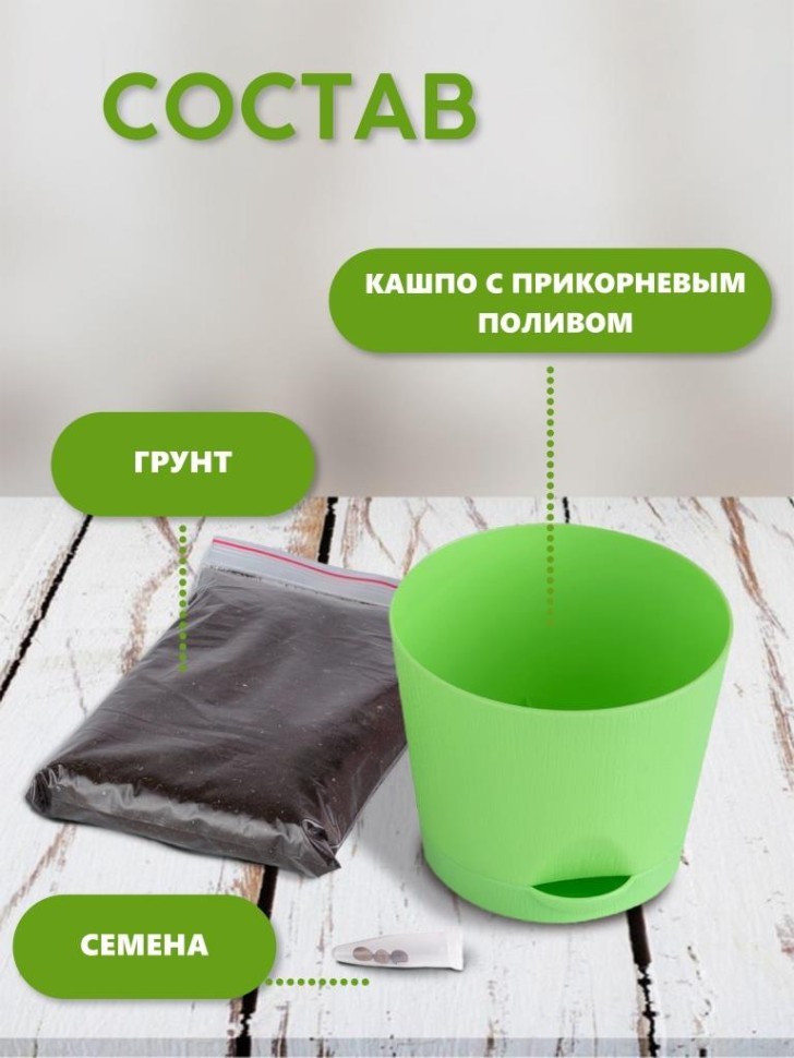 Набор д/выращивания "Тысяча листьев", "Кактусы"