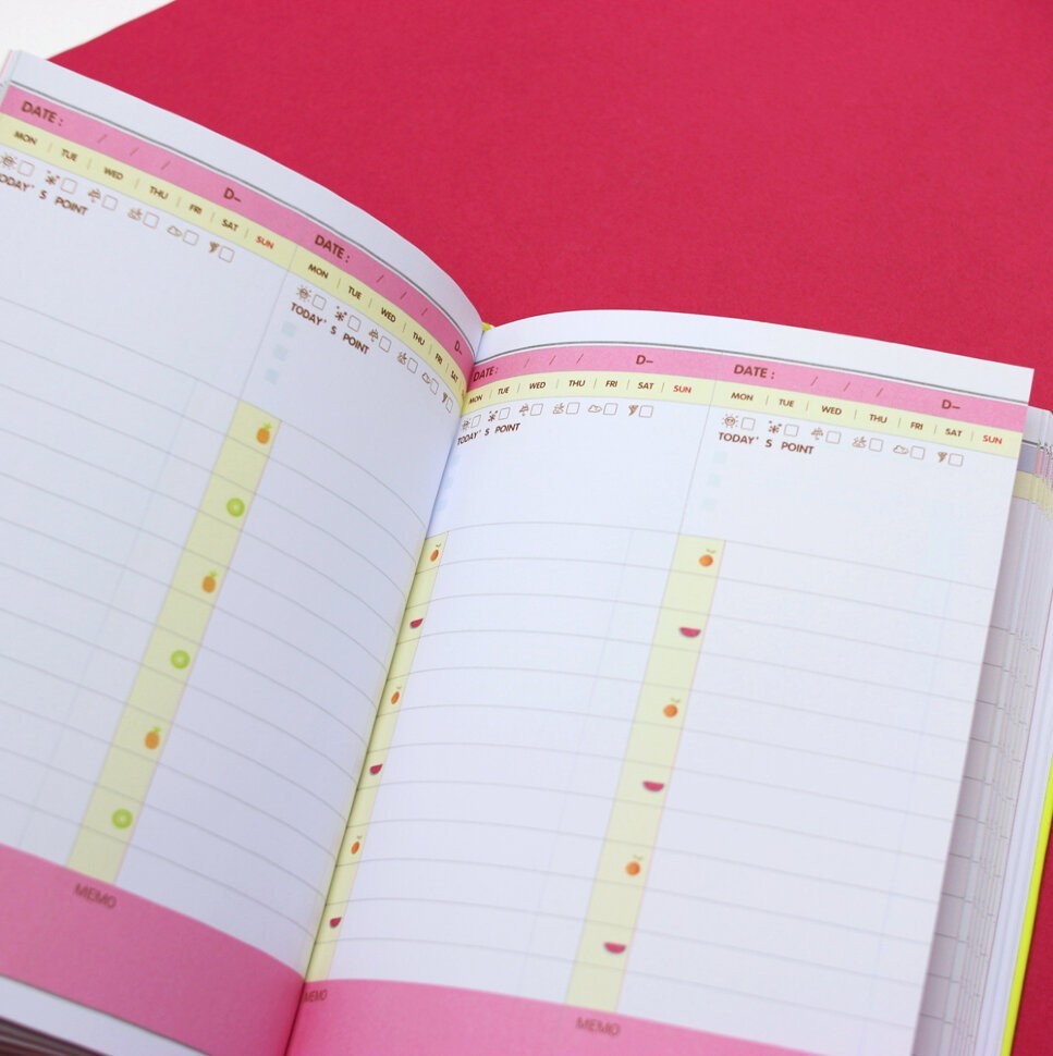 ПЛАННЕР "DAYLY PLANNER 365" иллюстрированный + стикеры (mix)