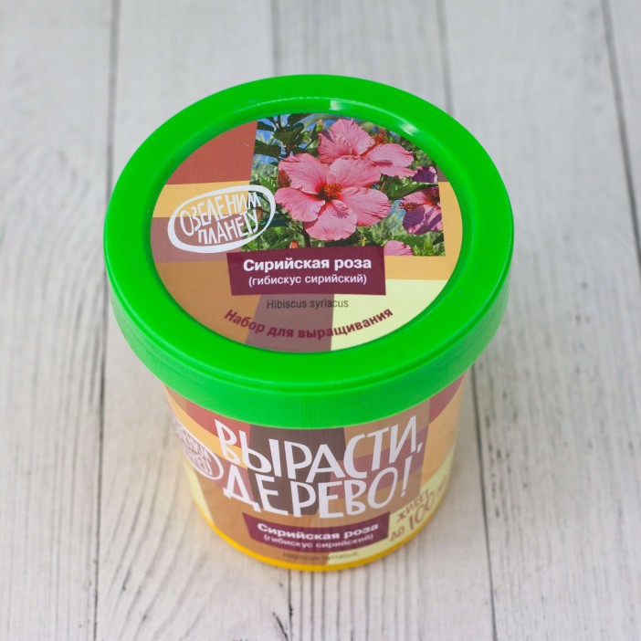 Набор для выращивания &quot;Сирийская роза&quot; 