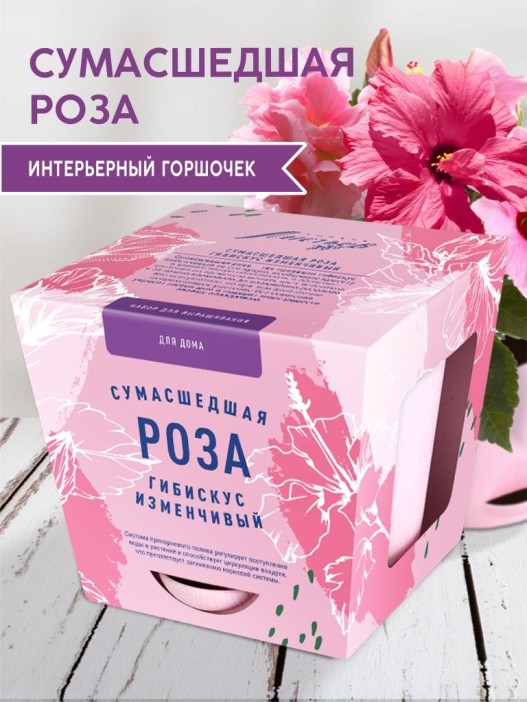 Набор д/выращивания &quot;Тысяча листьев&quot;, &quot;Сумасшедшая роза&quot; 