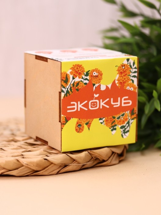 Набор для выращивания &quot;Экокуб Magicme &quot;Бархатцы&quot; 