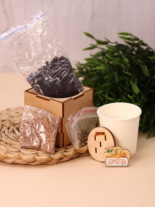 Набор для выращивания &quot;Экокуб Magicme &quot;Бархатцы&quot; 