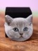 Попсокет iLikeGift "Beautiful cat", grey 