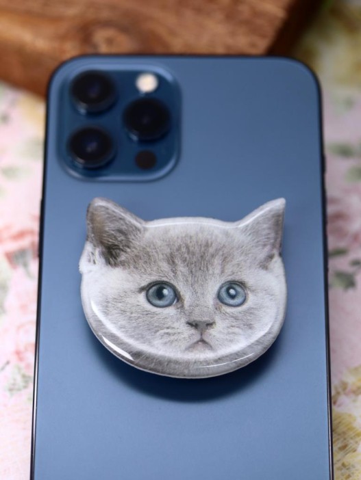 Попсокет iLikeGift "Beautiful cat", grey 