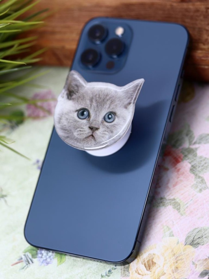 Попсокет iLikeGift "Красивый кот", серый