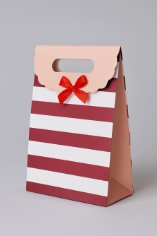 Пакет подарочный (XS) "Many stripes", red (12x6x16)