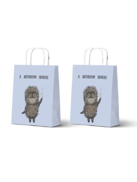 Пакет подарочный «Ёжик в тумане. В активном поиске», белый (24*14*30) 