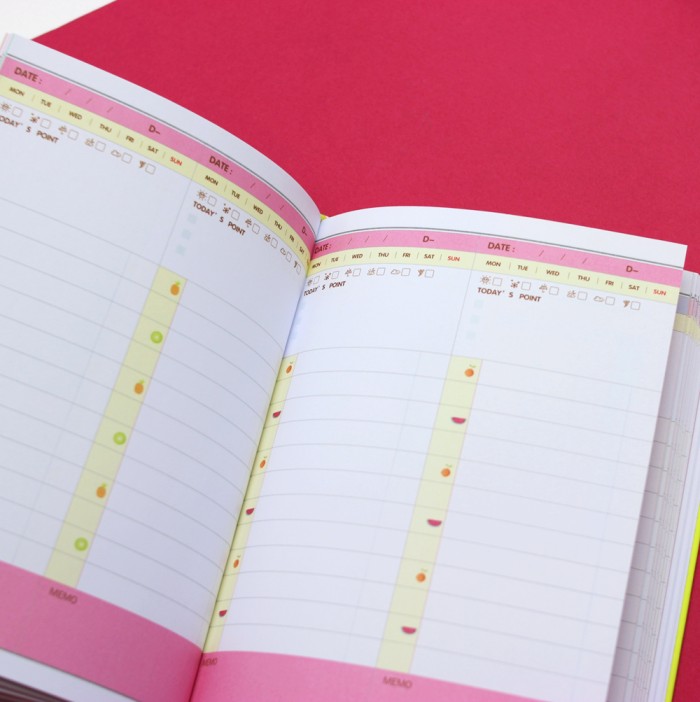 ПЛАННЕР "DAYLY PLANNER 365" иллюстрированный + стикеры (зелёный) 