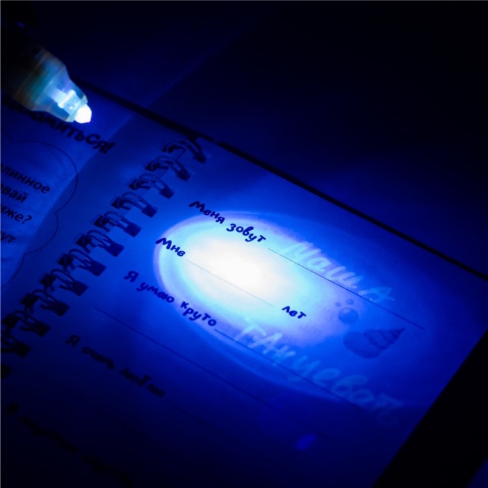 Игровой набор блокнот и ручка-шпион &quot;Русалка&quot; 