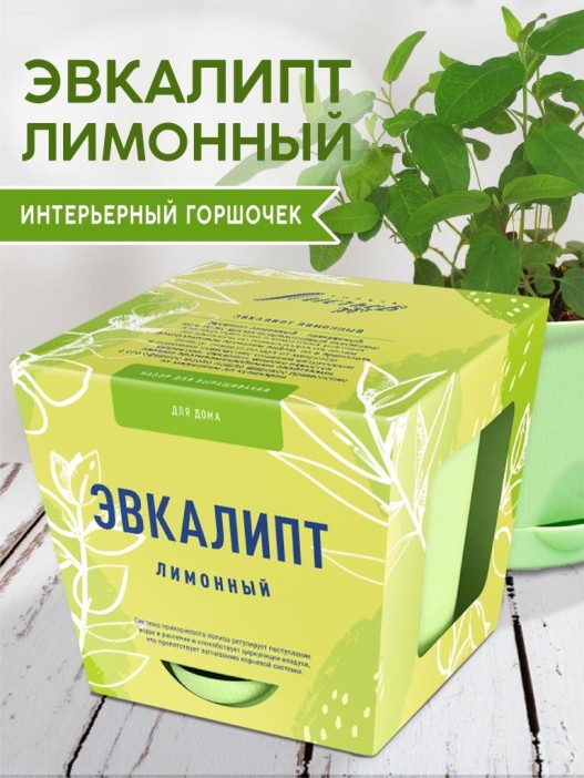 Набор д/выращивания &quot;Тысяча листьев&quot;, &quot;Эвкалипт лимонный&quot; 