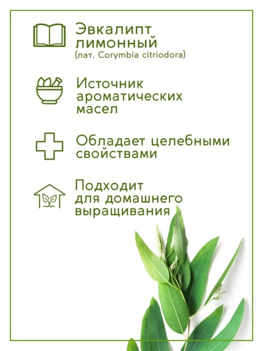 Набор д/выращивания &quot;Тысяча листьев&quot;, &quot;Эвкалипт лимонный&quot; 