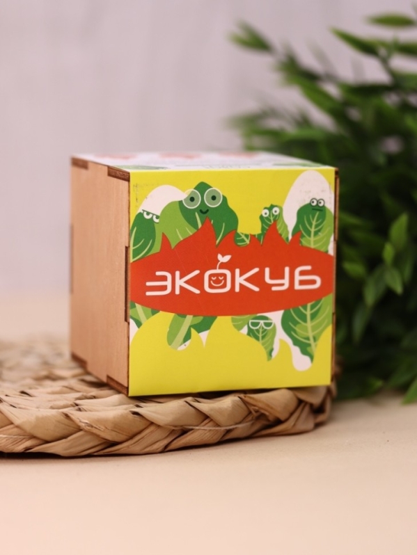 Набор для выращивания "Экокуб Magicme "Салат"
