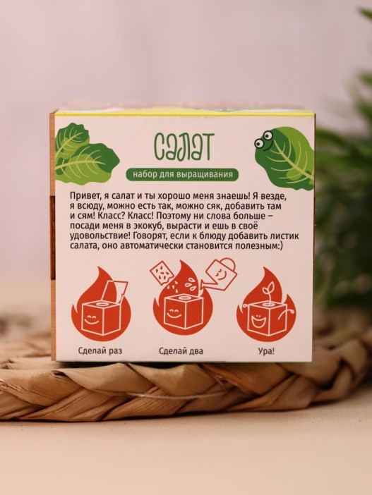 Набор для выращивания &quot;Экокуб Magicme &quot;Салат&quot; 