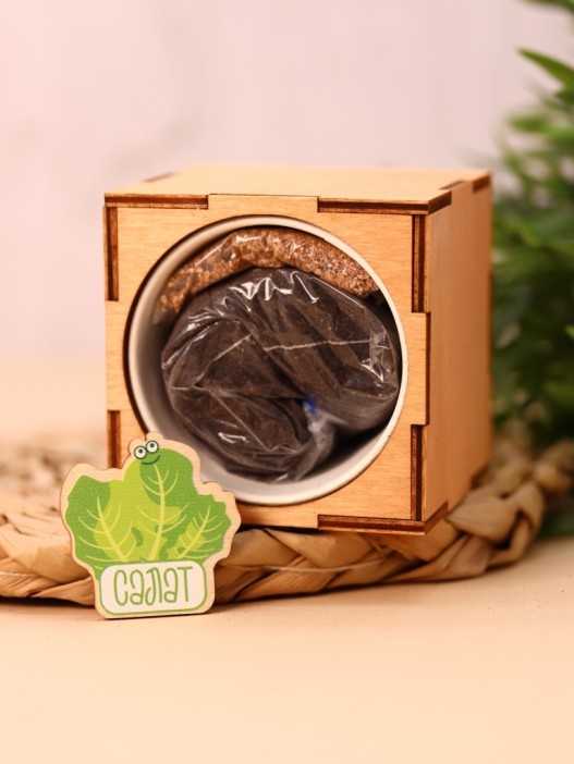 Набор для выращивания &quot;Экокуб Magicme &quot;Салат&quot; 