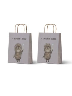 Пакет подарочный «Ёжик в тумане. В активном поиске», крафт (24*14*30)