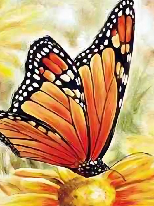 Алмазная мозаика без подрамника &quot;Бабочка 2&quot;, 15х20 см 