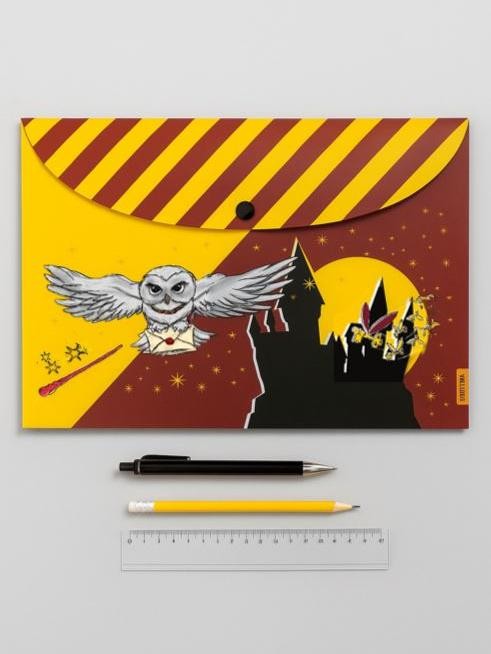 Папка-конверт на кнопке А4 &quot;Сова&quot;, 160 мкм, пластик 