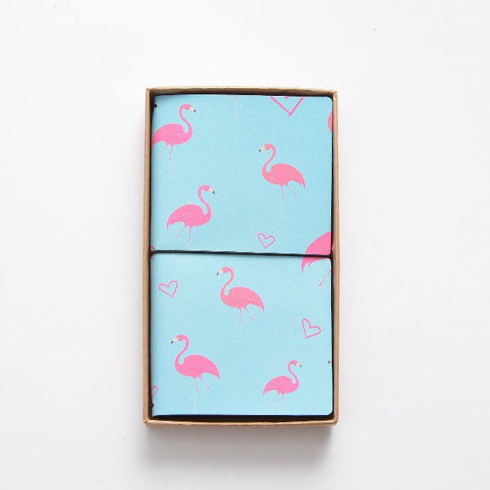 P704 ПЛАННЕР "Фламинго" 01 