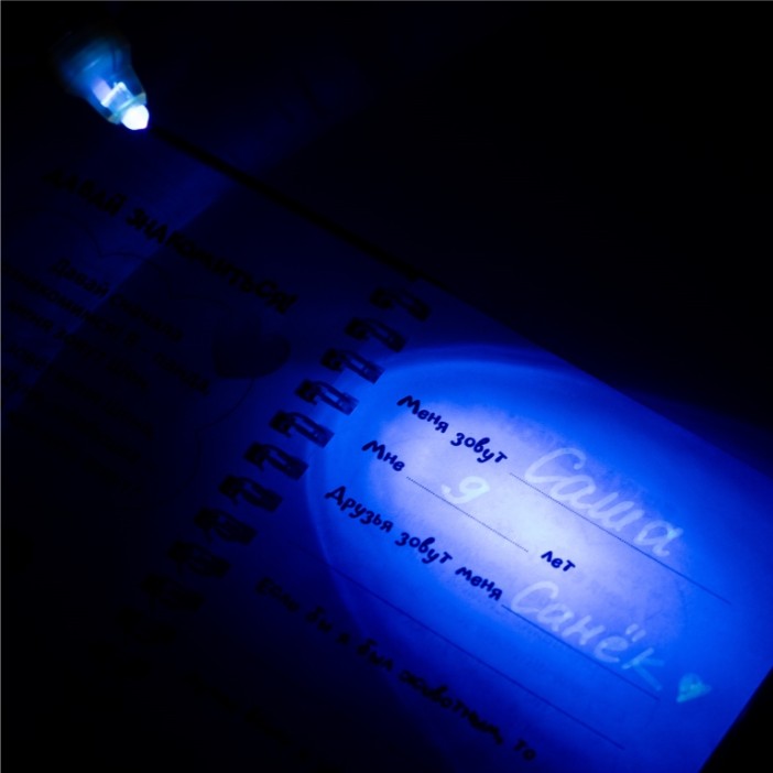 Игровой набор блокнот и ручка-шпион  &quot;Мои секретики. Панда&quot; 