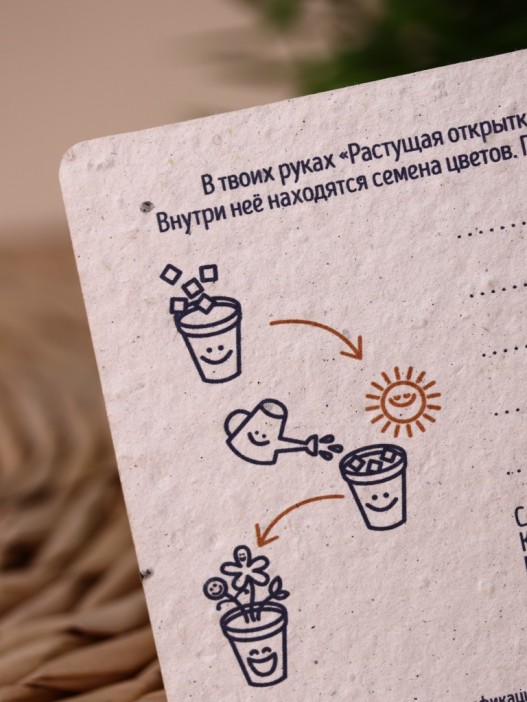 &quot;Растущая открытка Magicme&quot;, &quot;Просто открытка&quot; 10х15 см 