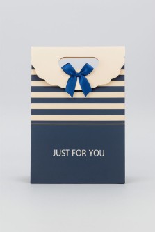 Пакет подарочный (XS) "Many stripes", blue (12x6x16)