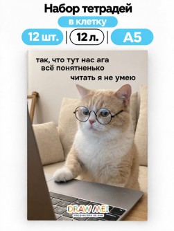 Набор тетрадей в клетку А5 Draw Me! 12шт. "Всё понятненько", 12 л.