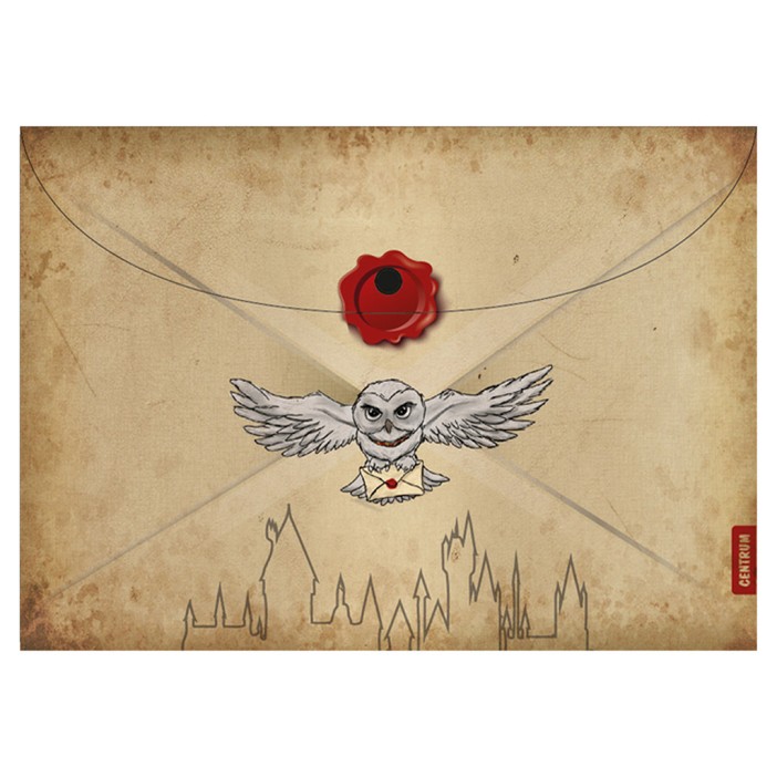 Папка-конверт на кнопке А4 &quot;Сова-1&quot;, 160 мкм, пластик 