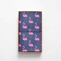 P704 ПЛАННЕР "Фламинго" 02 