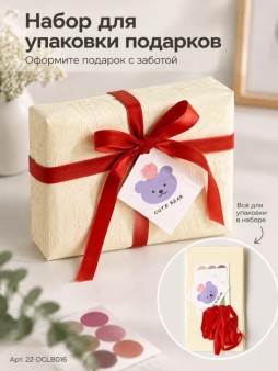 Упаковочный набор для подарков (2 листа+лента+открытка+5 наклеек) "Сердечный", 40х50см