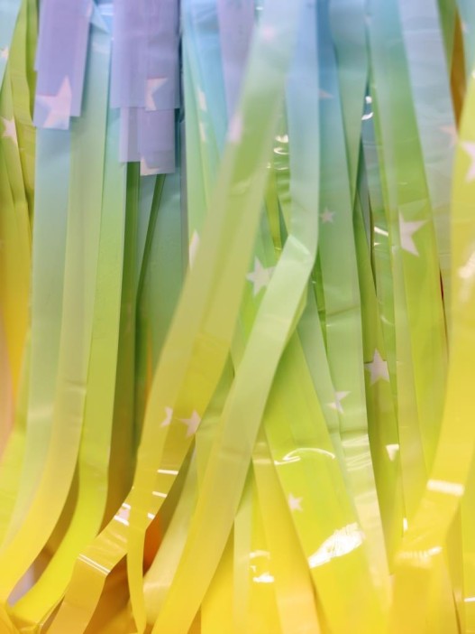 Праздничный занавес, дождик для фотозоны &quot;Rainbow&quot;, (100*200 см) 