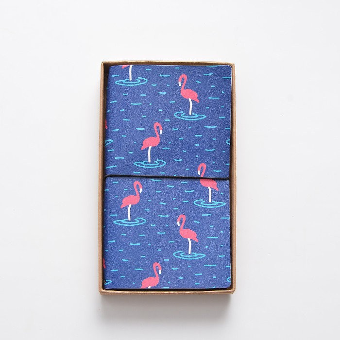 P704 ПЛАННЕР "Фламинго" 03 