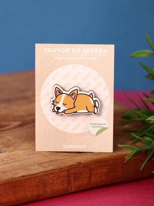 Значок Sleeping Doggy 