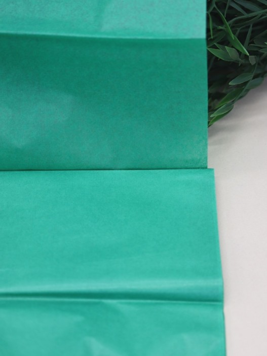 Бумага тишью &quot;Classic&quot;, dark green, 50 х 66 см, 14 г/м2 (набор 10 шт.) 