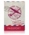 ОБЛОЖКА ДЛЯ ПАСПОРТА  AIR MAIL 