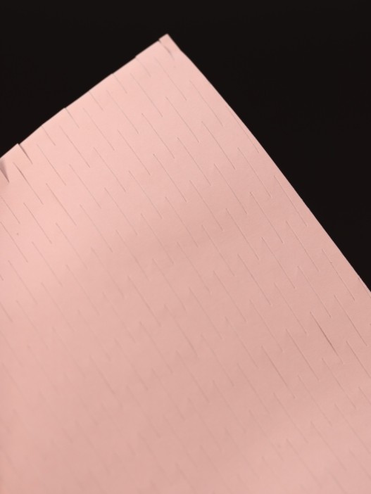 Упаковочный набор для подарков (2 листа+лента+открытка+5 наклеек) &quot;Rosy dreams&quot;, 40x50 см 