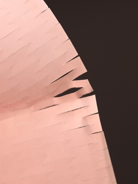 Упаковочный набор для подарков (2 листа+лента+открытка+5 наклеек) &quot;Rosy dreams&quot;, 40x50 см 