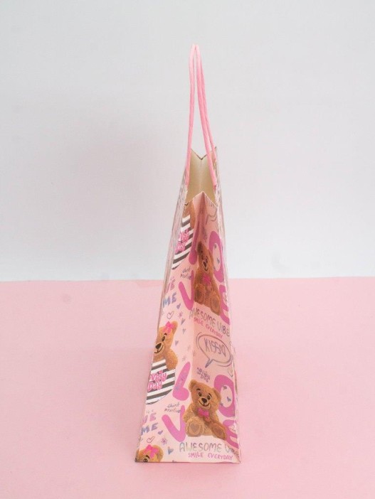 Пакет подарочный крафтовый «Cool gerl», bear (21*25,5*10) 