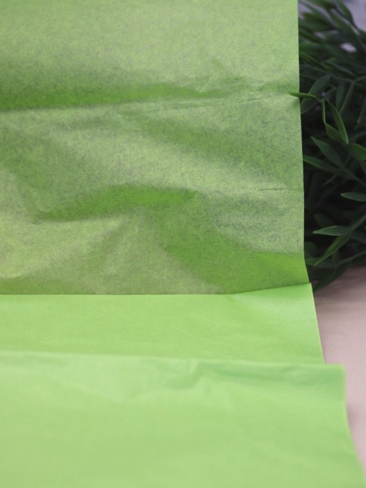 Бумага тишью &quot;Classic&quot;, herbal, 50 х 66 см, 14 г/м2 (набор 10 шт.) 