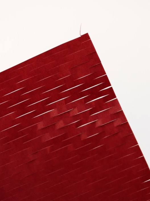 Упаковочный набор для подарков (2 листа+лента+открытка+5 наклеек) &quot;Ruby delight&quot;, 40x50см 