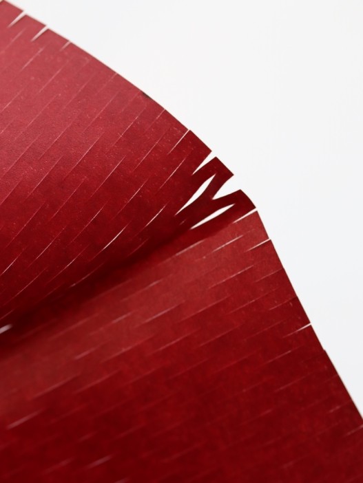 Упаковочный набор для подарков (2 листа+лента+открытка+5 наклеек) &quot;Ruby delight&quot;, 40x50см 