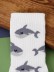 Носки женские &quot;Shark&quot;, р. 35-40, белый 