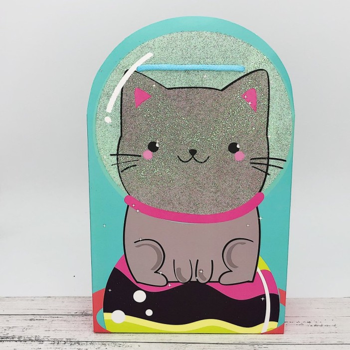 Подарочный пакет &quot;Cat in  space&quot; (24*21*8) 