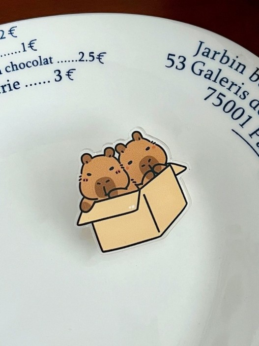Значок акриловый iLikeGift &quot;Capybaras in a Box&quot; 