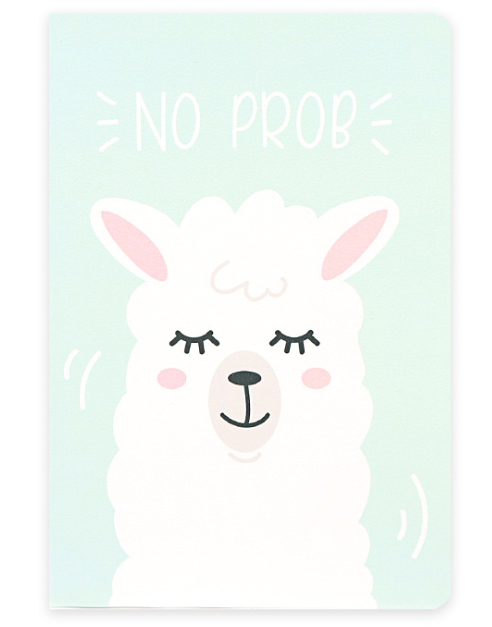 BL-A5-181 Тетрадь "No prob"