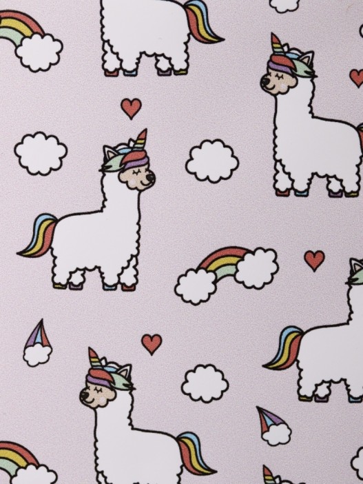 ОБЛОЖКА ДЛЯ ПАСПОРТА Edinolama, плотность 600 мкм 