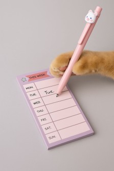 Блок для заметок "This week", strawberry, 50 л. 8*16 см