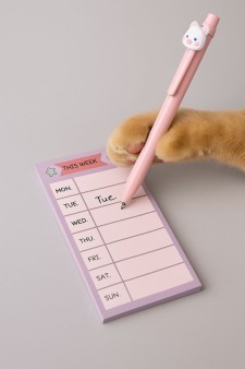 Блок для заметок "This week", strawberry, 50 л. 8*16 см