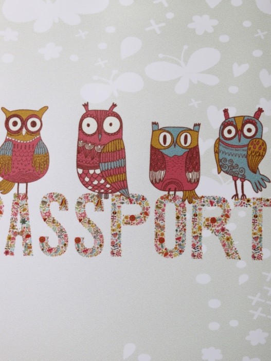 ОБЛОЖКА ДЛЯ ПАСПОРТА &quot;Owls&quot;, плотность 600 мкм 