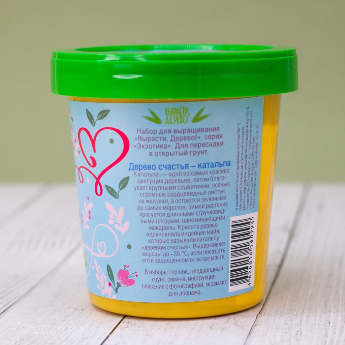 Набор подарочный для выращивания &quot;Дерево счастья-катальпа&quot; 