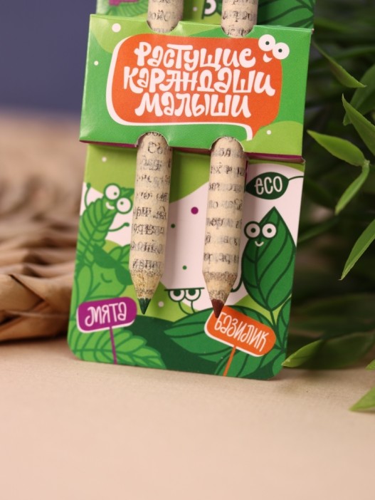 Набор растущих карандашей Magicme mini - Мята и Базилик (зеленый/коричневый) 
